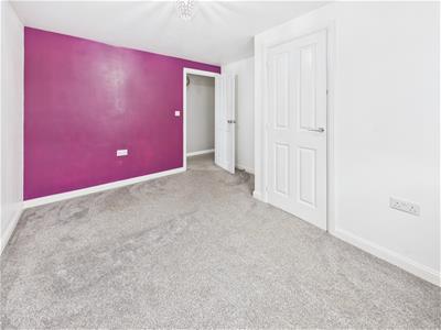 Picture 33